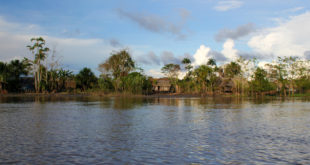 Amazonien in Peru