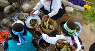 Speisen und Gerichte in Peru: Ceviche, Cuy und Kartoffeln