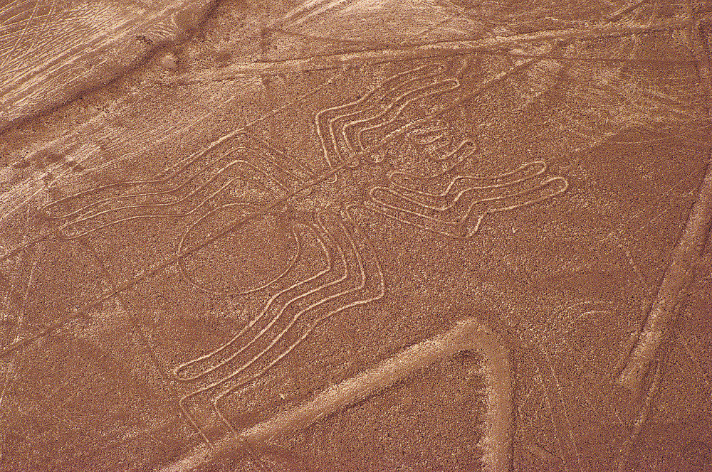 Nazca-Linien: Die Spinne (© Corinna Kienel, DIAMIR) in Peru