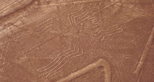 Nazca-Linien: Die Spinne (© Corinna Kienel, DIAMIR) in Peru